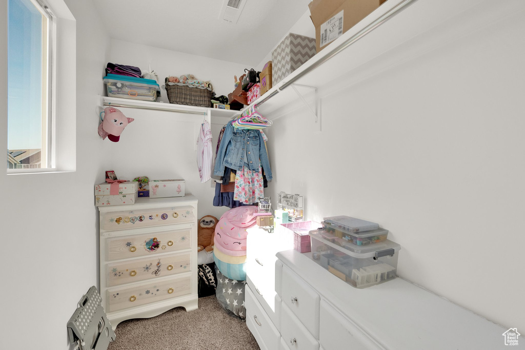 Spacious closet with light carpet