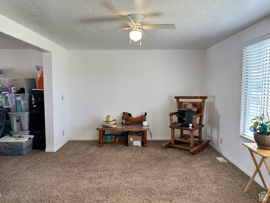 Living area with carpet flooring, a ceiling fan, a textured ceiling, and baseboards