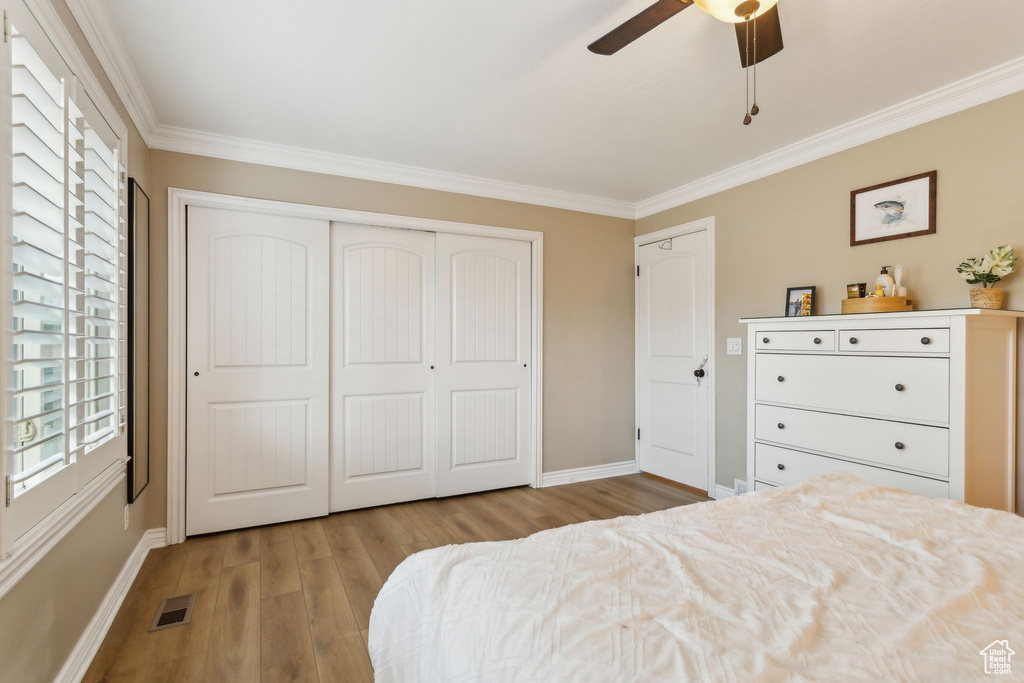 Bedroom with ornamental molding, wood finished floors, baseboards, and multiple windows