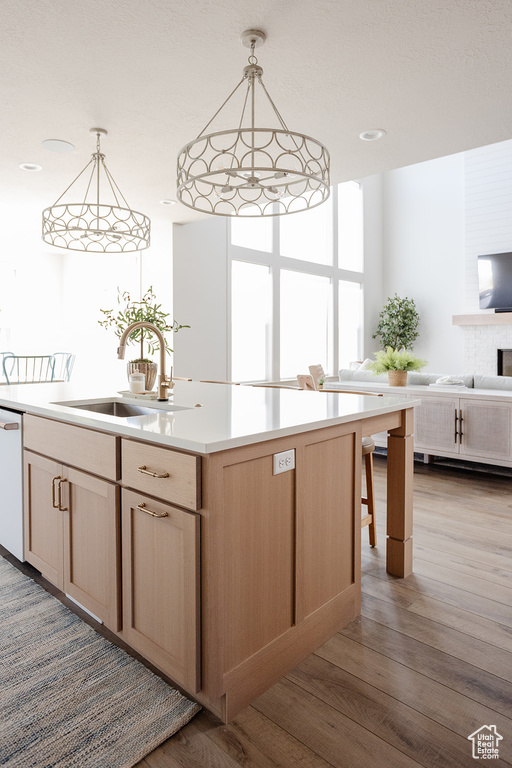 Kitchen featuring a sink, open floor plan, wood finished floors, light countertops, and dishwasher