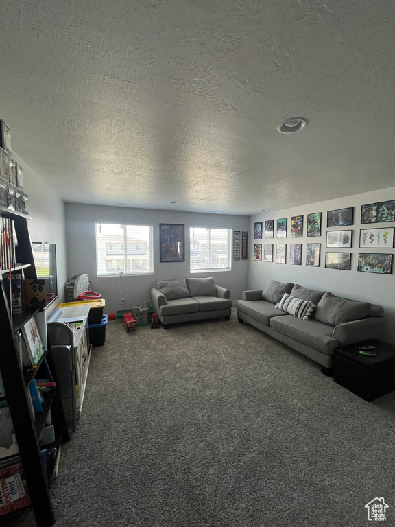 Carpeted living room with a textured ceiling
