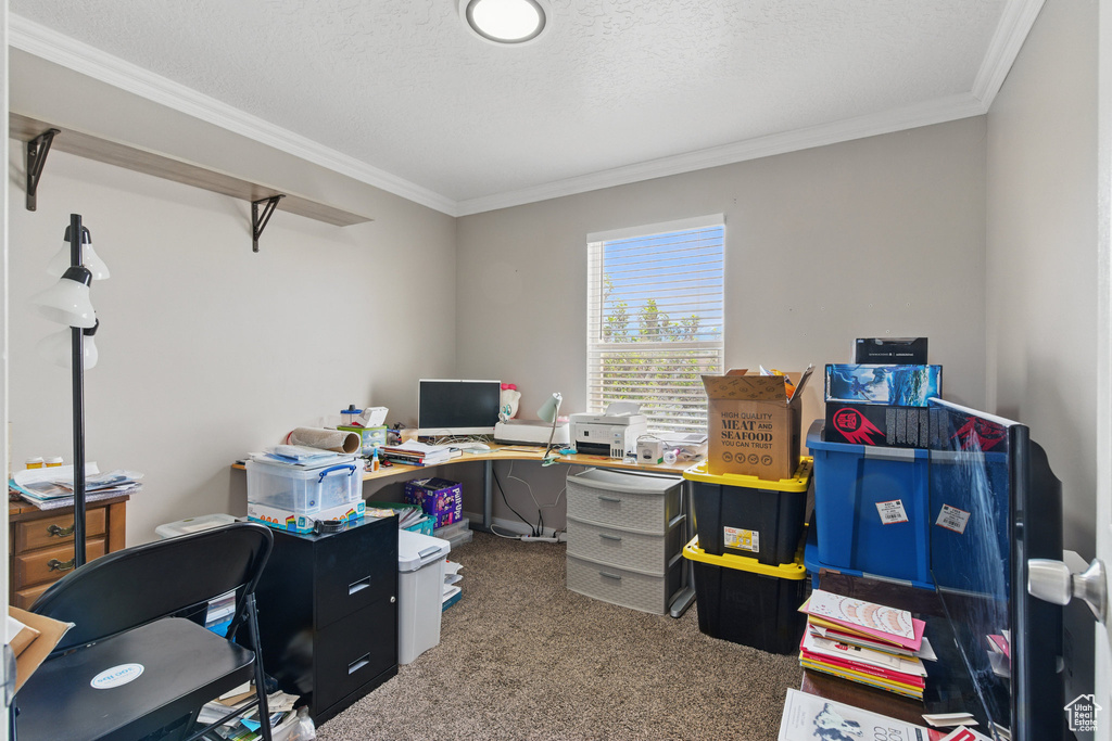 Carpeted office space featuring ornamental molding and a textured ceiling