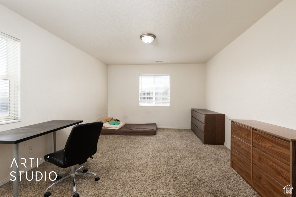 Office area featuring carpet flooring and baseboards
