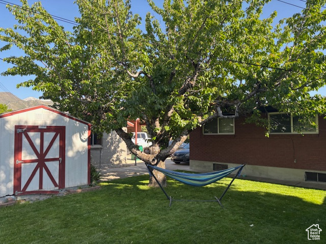 View of grassy yard