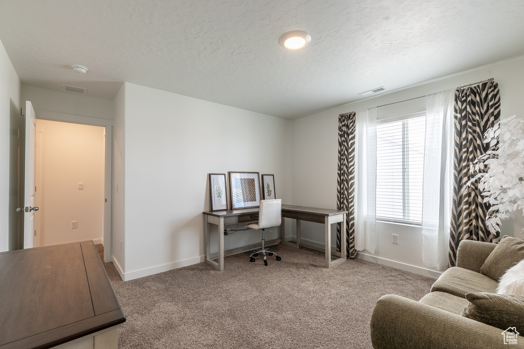 Carpeted home office featuring a textured ceiling and baseboards