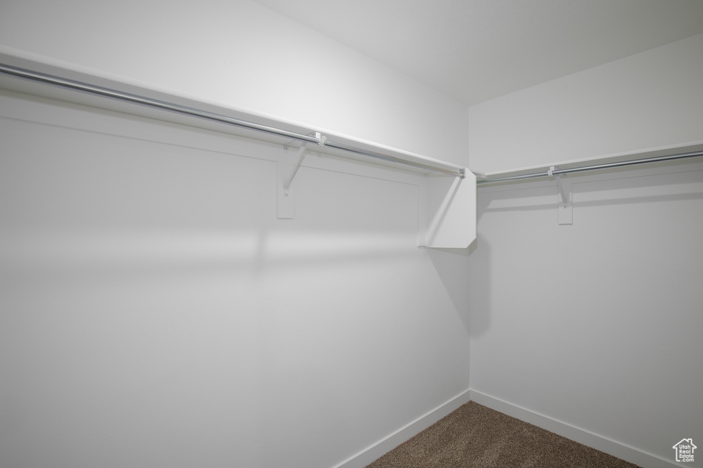 Spacious closet featuring dark colored carpet