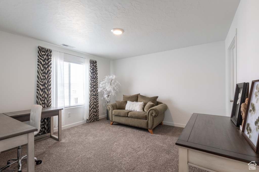 Office space featuring baseboards, carpet flooring, and a textured ceiling