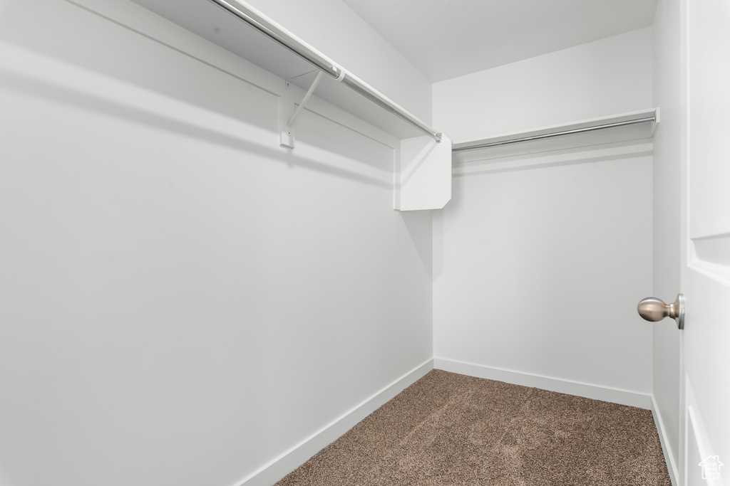 Spacious closet with carpet floors