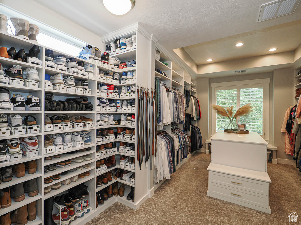 Spacious closet featuring light colored carpet and a raised ceiling