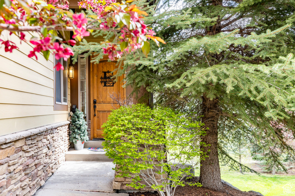 Doorway to property featuring stone siding