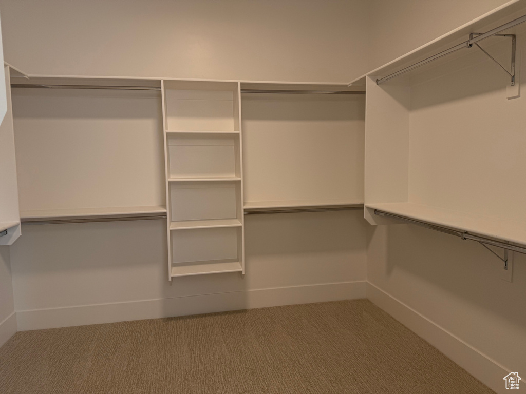 Walk in closet featuring carpet floors