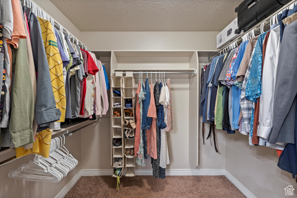 Spacious closet with carpet