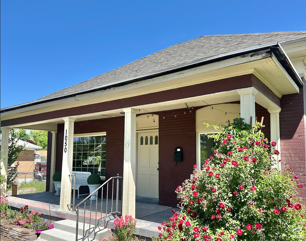 Doorway to property featuring covered porch and roof with shingles