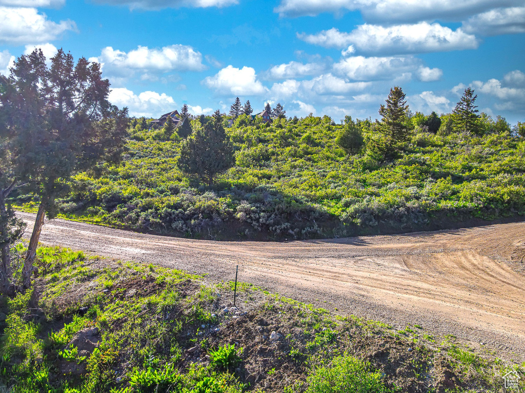 View of dirt / gravel road with a view of trees