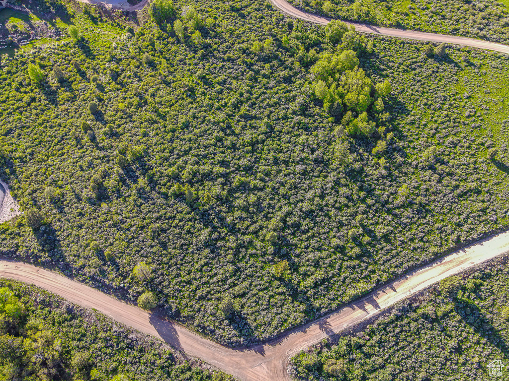 Aerial view of property's location