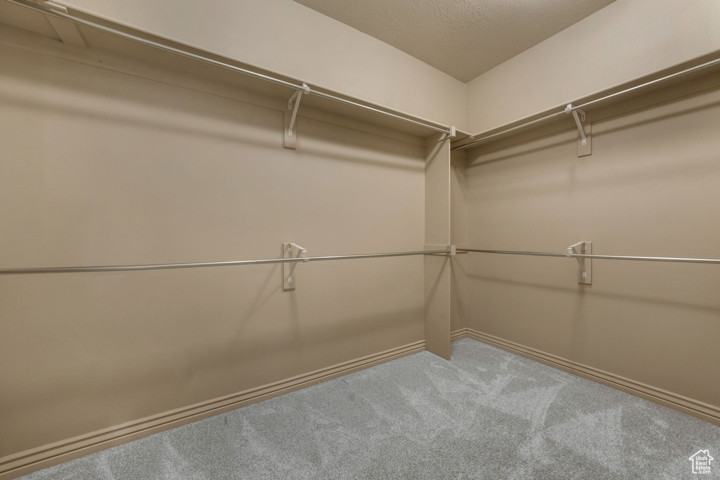 Spacious closet featuring carpet floors