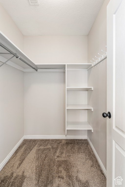 Walk in closet featuring carpet floors