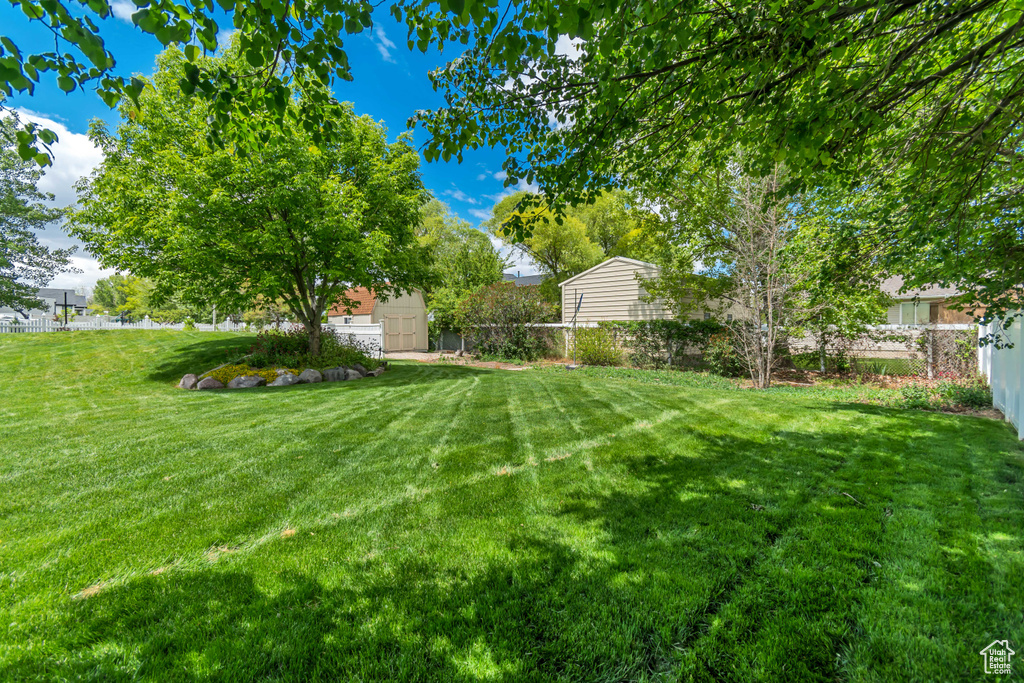 View of yard