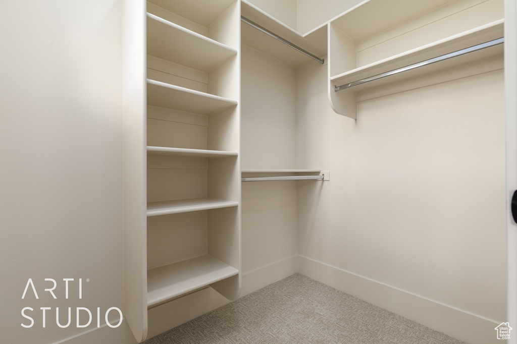Spacious closet featuring carpet