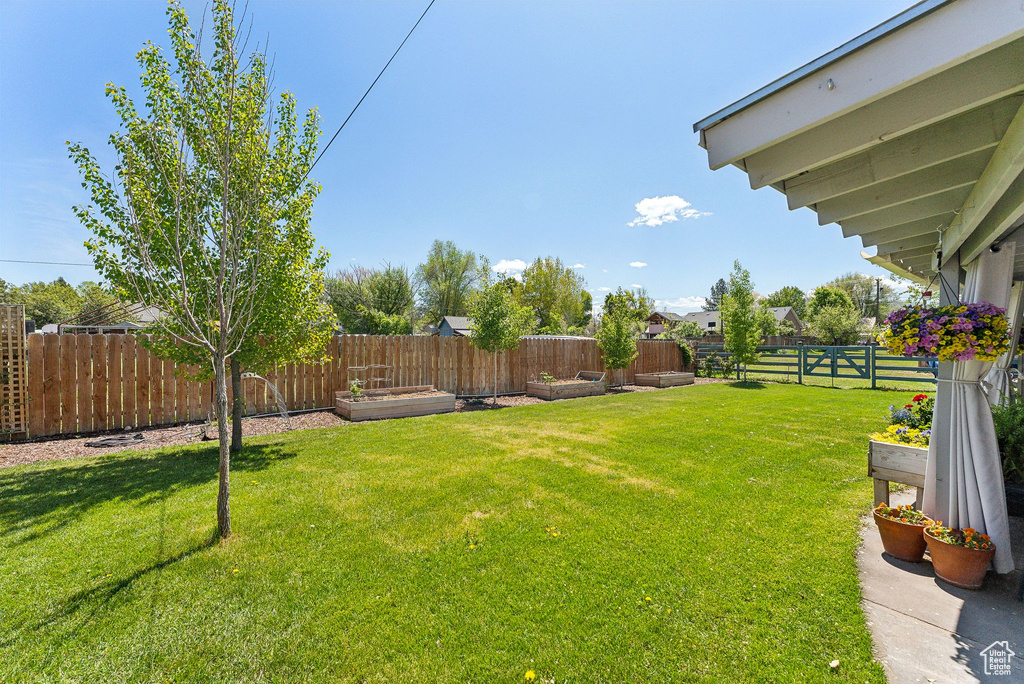 View of yard with a vegetable garden