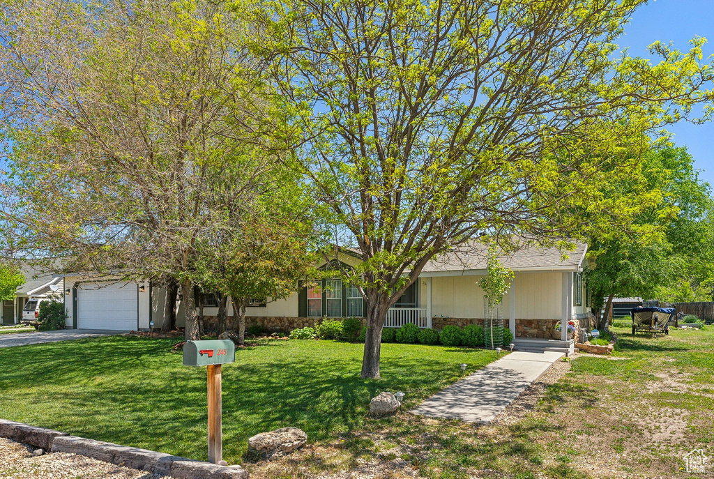 View of property hidden behind natural elements with stone siding, a front yard, driveway, and an attached garage