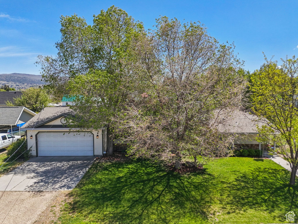 Obstructed view of property featuring driveway, a garage, and a front yard