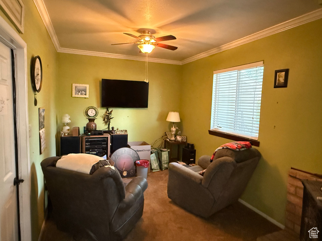 Living room featuring a ceiling fan, crown molding, and carpet