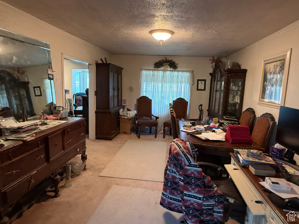 Dining space with light colored carpet and a textured ceiling