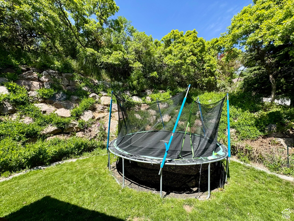 View of green lawn featuring a trampoline