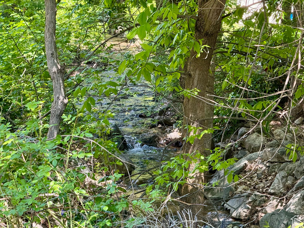 View of undeveloped land