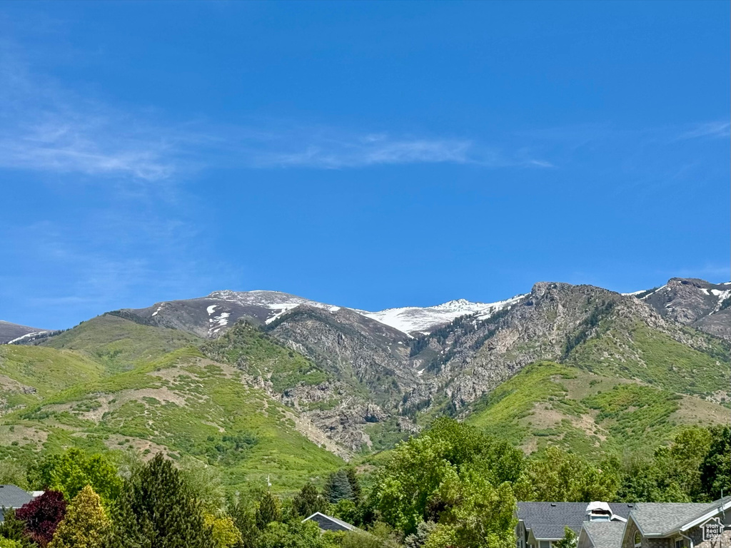 View of mountain background