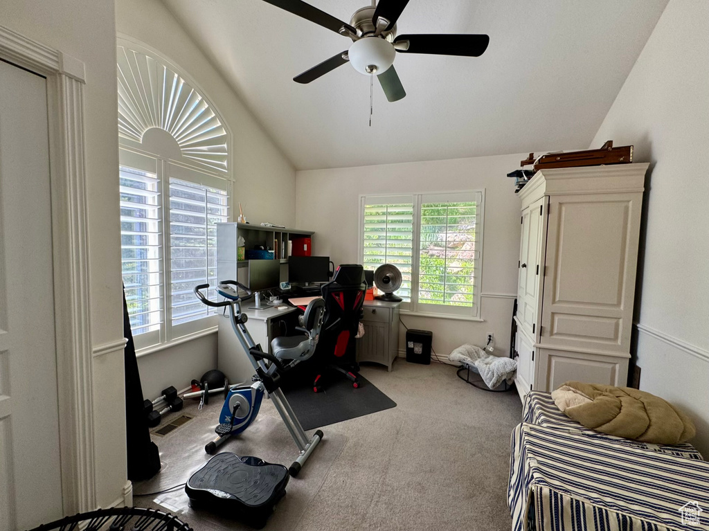 Workout room with lofted ceiling, carpet floors, and ceiling fan