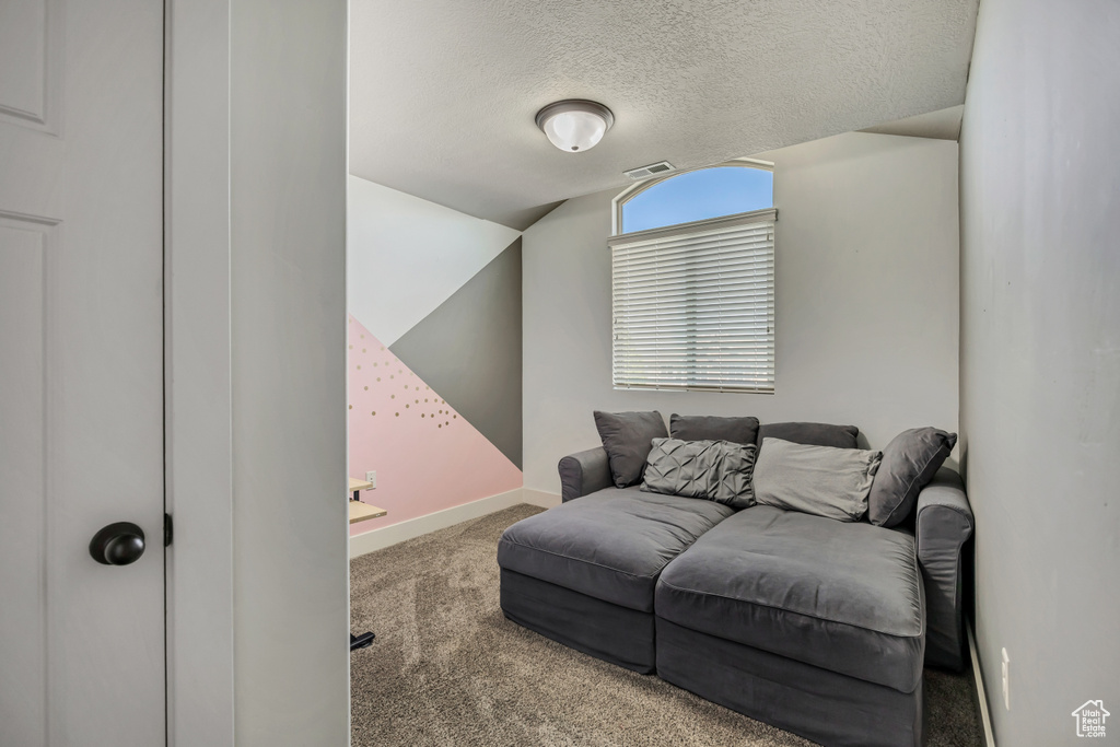 Living room featuring carpet floors, baseboards, a textured ceiling, and lofted ceiling