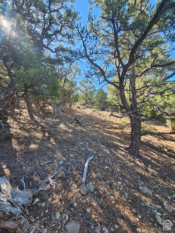 View of undeveloped land
