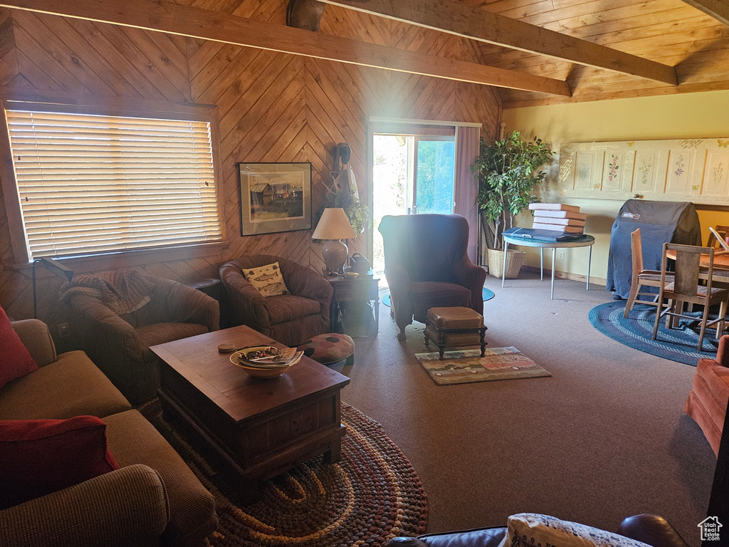 Carpeted living area with wooden ceiling and wooden walls