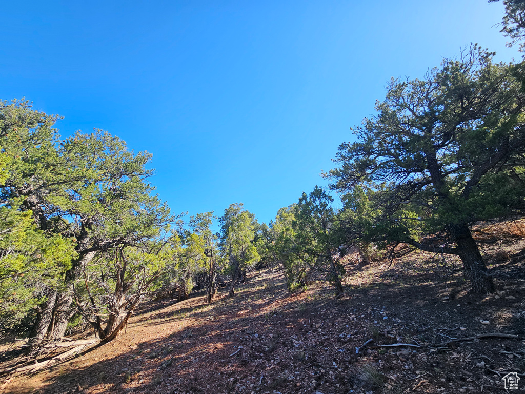 View of undeveloped land