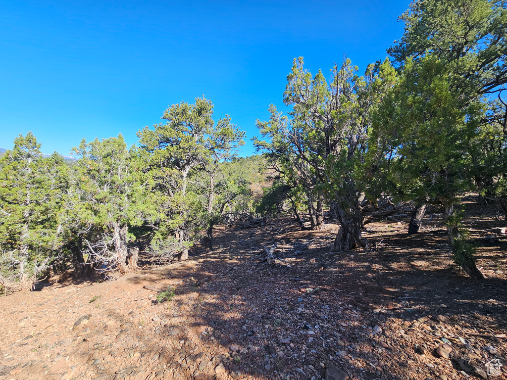 View of nature