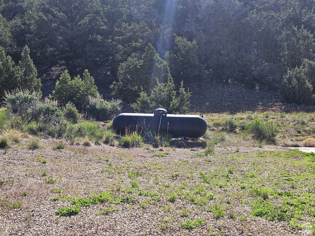 View of yard featuring a view of trees