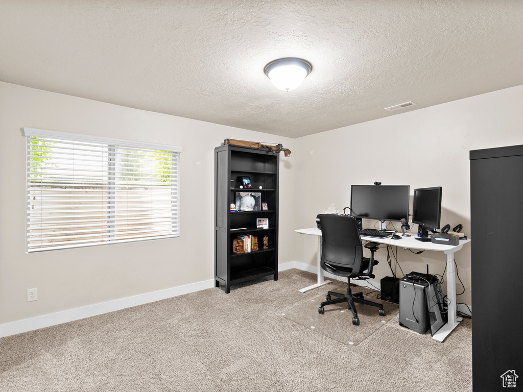 Carpeted home office with a textured ceiling and baseboards