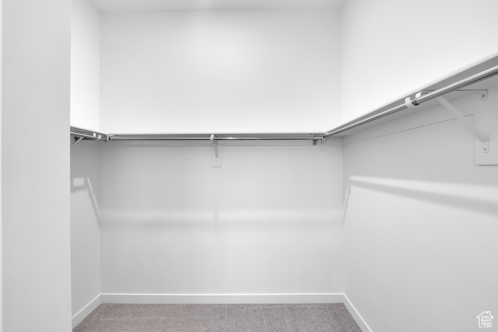 Spacious closet featuring carpet