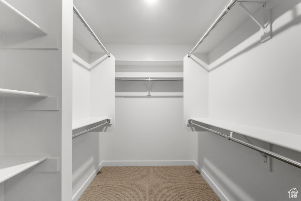 Walk in closet featuring carpet