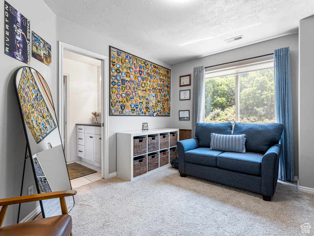 Sitting room with carpet flooring and a textured ceiling