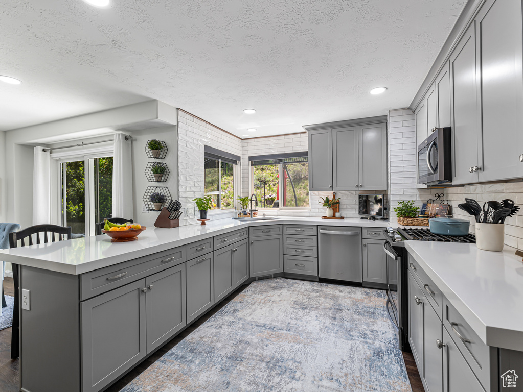 Kitchen with stainless steel appliances, gray cabinets, plenty of natural light, a textured ceiling, and recessed lighting