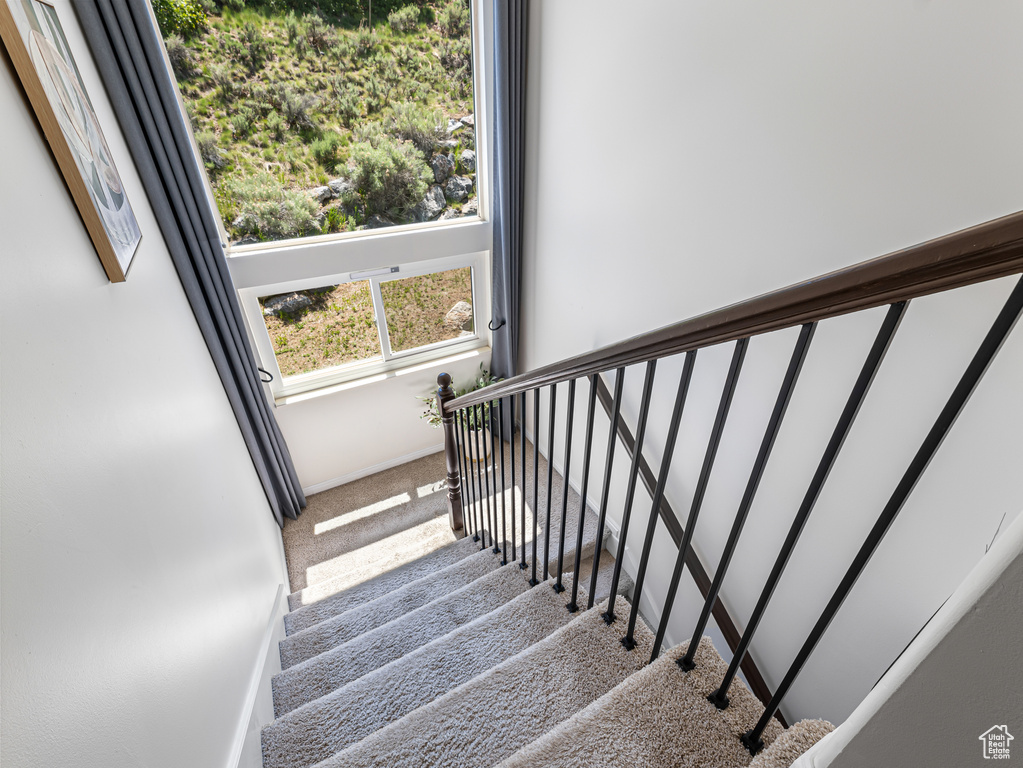 Staircase with carpet floors