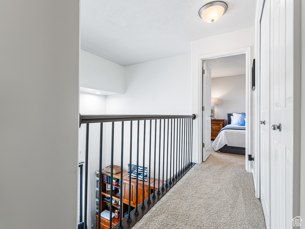 Hallway featuring carpet floors