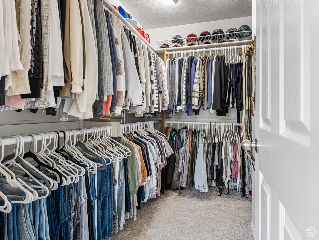 Walk in closet with carpet