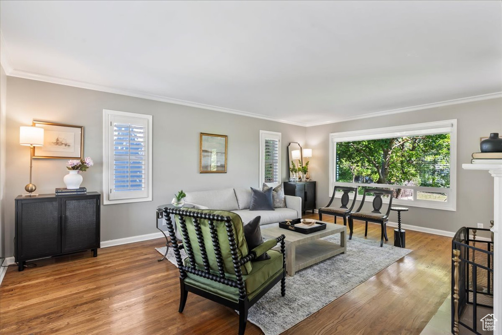Living room with crown molding, plenty of natural light, wood finished floors, and baseboards