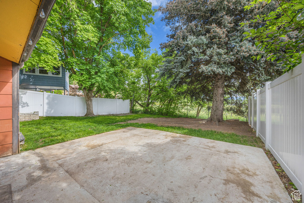 View of yard featuring a patio area