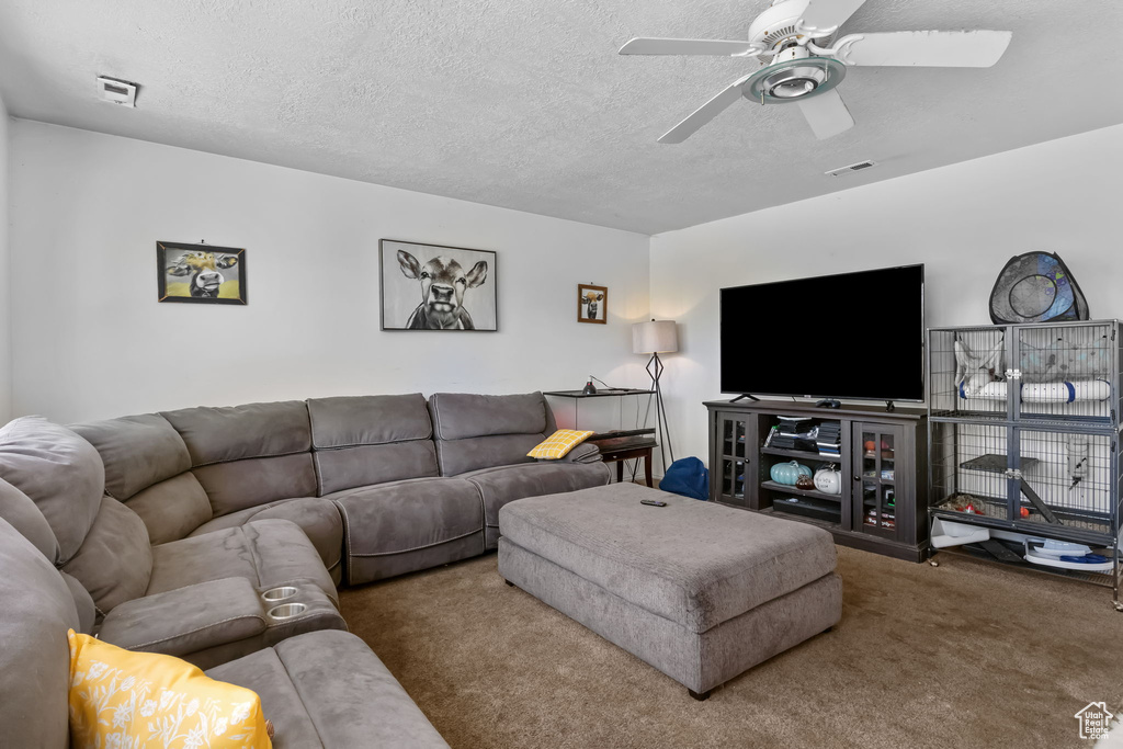Living area with carpet, a ceiling fan, and a textured ceiling