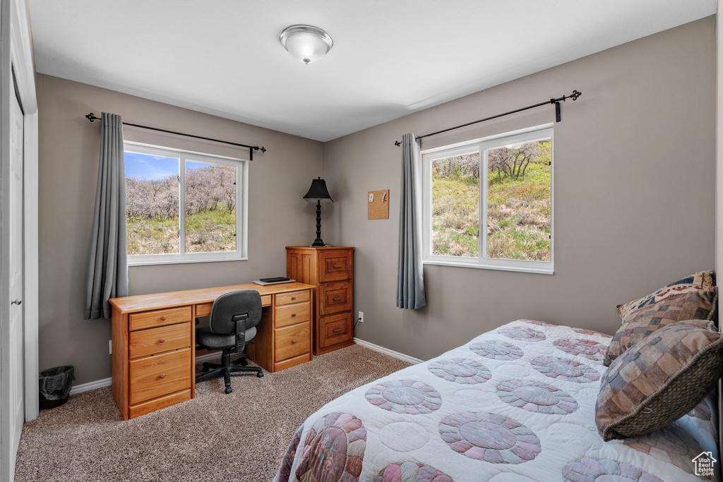 Carpeted bedroom featuring multiple windows, baseboards, and a desk